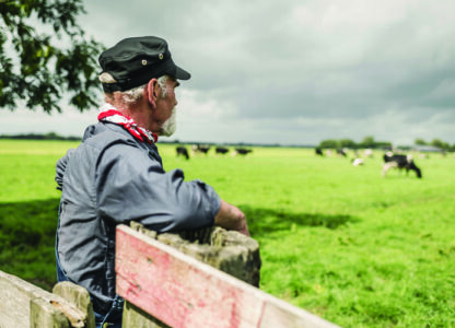 Elderly farmhand watching a herd in a pasture while leaning against a wooden fence